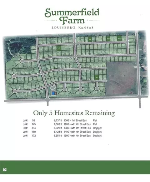 1306 N 1 St, Louisburg, KS 66053