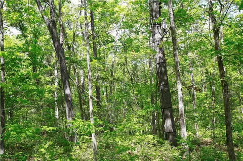 tbd SE 1121 Rd, Deepwater, MO 64740 photo 8