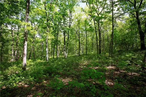 tbd SE 1121 Rd, Deepwater, MO 64740 photo 16