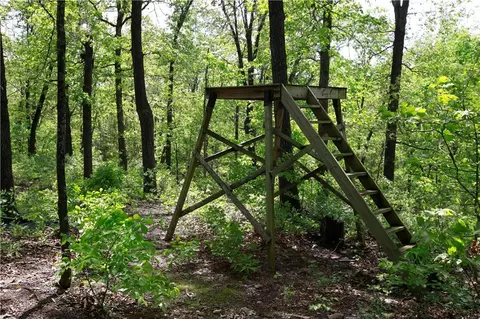 tbd SE 1121 Rd, Deepwater, MO 64740 photo 12