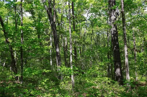 tbd SE 1121 Rd, Deepwater, MO 64740 photo 15