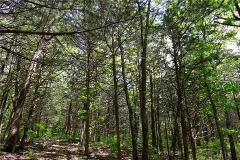tbd SE 1121 Rd, Deepwater, MO 64740 photo 7