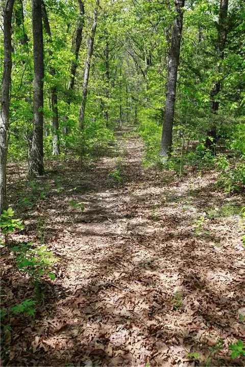 tbd SE 1121 Rd, Deepwater, MO 64740 photo 11