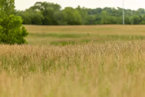 1432 E 2300 Rd, Eudora, KS 66025 photo 38