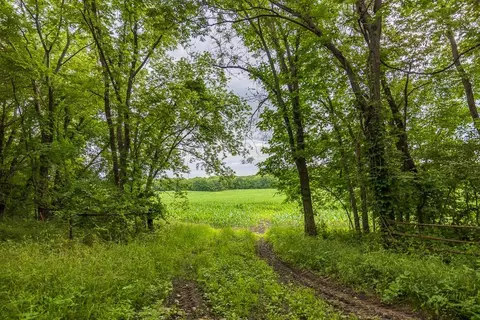 1432 E 2300 Rd, Eudora, KS 66025 photo 63