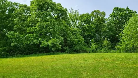 lot19 SE Tbd Se Holstein Dr, Oak Grove, MO 64075