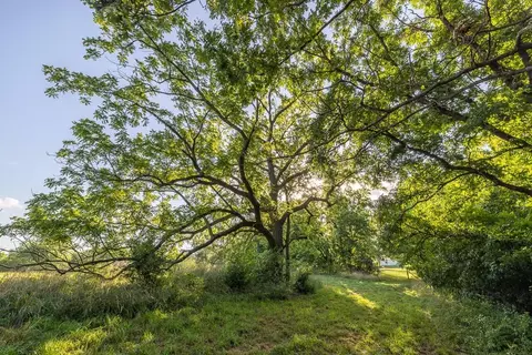 701 N Bly Rd, Independence, MO 64056 photo 46