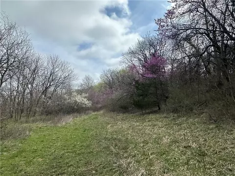 10500 E 329th St, Drexel, MO 64742 photo 10
