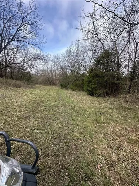 10500 E 329th St, Drexel, MO 64742 photo 21