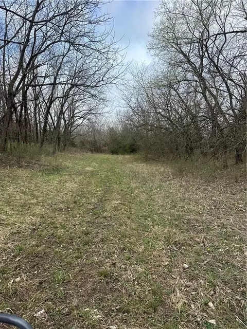 10500 E 329th St, Drexel, MO 64742 photo 12