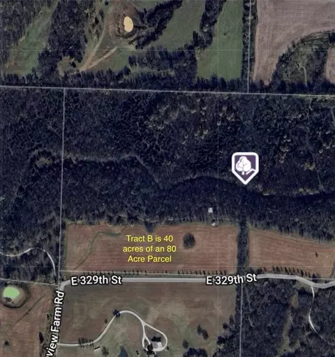 10500 E 329th St, Drexel, MO 64742 photo 20