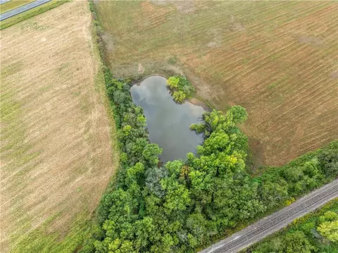 Nw 90th Road, Sheldon, MO 64784 photo 14