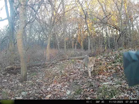 B Highway, Ridgeway, MO 64481 photo 15