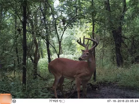 B Highway, Ridgeway, MO 64481 photo 6
