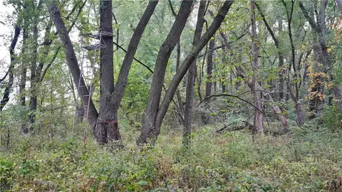B Highway, Ridgeway, MO 64481 photo 29