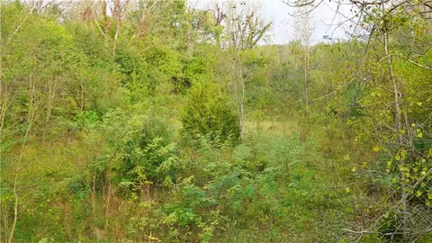 B Highway, Ridgeway, MO 64481 photo 33