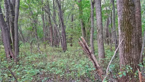 B Highway, Ridgeway, MO 64481 photo 34