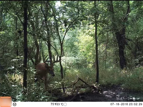 B Highway, Ridgeway, MO 64481 photo 5