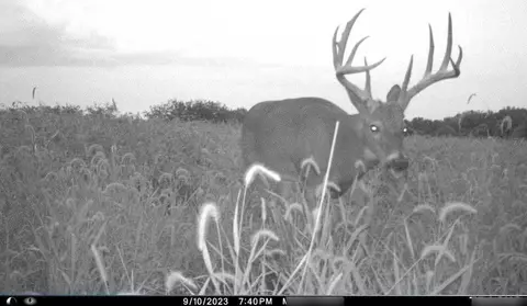 B Highway, Ridgeway, MO 64481 photo 18