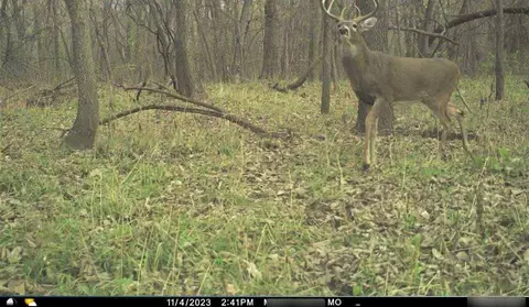 B Highway, Ridgeway, MO 64481 photo 2