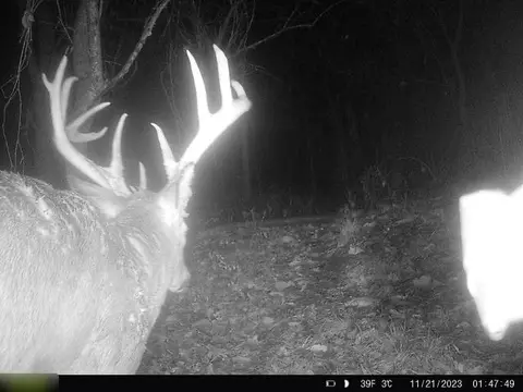 B Highway, Ridgeway, MO 64481 photo 17