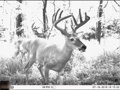 B Highway, Ridgeway, MO 64481 photo 4