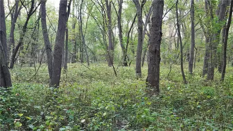 B Highway, Ridgeway, MO 64481 photo 36