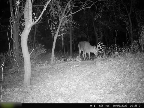 B Highway, Ridgeway, MO 64481 photo 9