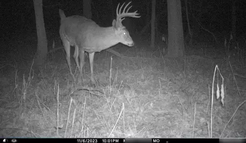 B Highway, Ridgeway, MO 64481 photo 3