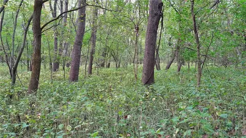 B Highway, Ridgeway, MO 64481 photo 37