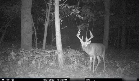 B Highway, Ridgeway, MO 64481 photo 20