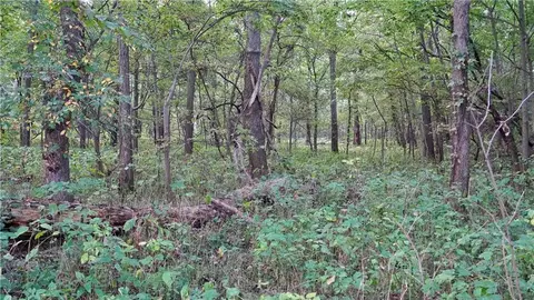 B Highway, Ridgeway, MO 64481 photo 28