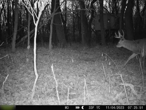 B Highway, Ridgeway, MO 64481 photo 11