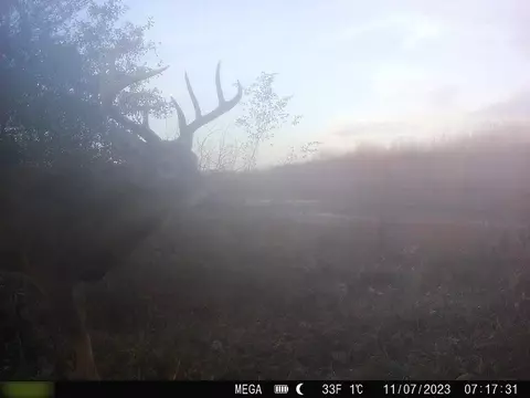 B Highway, Ridgeway, MO 64481 photo 12