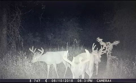 B Highway, Ridgeway, MO 64481 photo 7