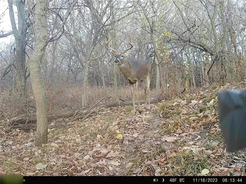 B Highway, Ridgeway, MO 64481 photo 16