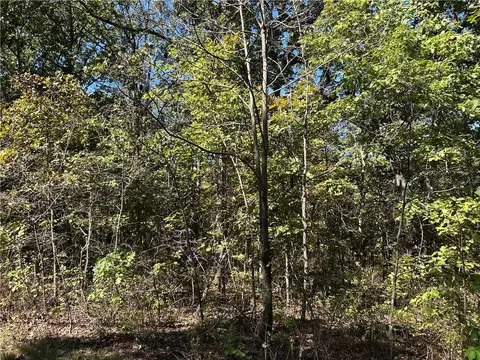 Off Kip Drive, Edwards, MO 65326 photo 15