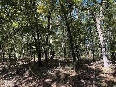 Off Kip Drive, Edwards, MO 65326 photo 12