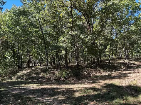 Off Kip Drive, Edwards, MO 65326 photo 6