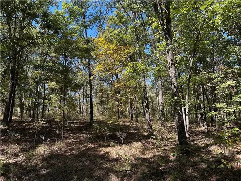 Off Kip Drive, Edwards, MO 65326 photo 16