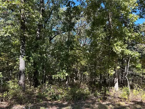 Off Kip Drive, Edwards, MO 65326 photo 9