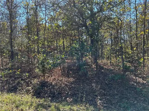 Off Kip Drive, Edwards, MO 65326 photo 11