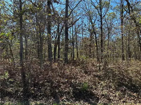 Off Kip Drive, Edwards, MO 65326 photo 20