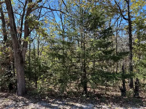 Off Kip Drive, Edwards, MO 65326 photo 18