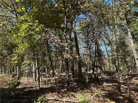 Off Kip Drive, Edwards, MO 65326 photo 7