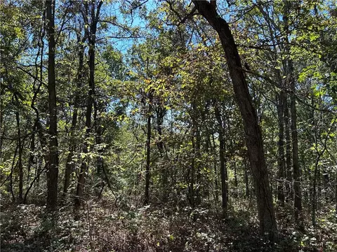Off Kip Drive, Edwards, MO 65326 photo 17