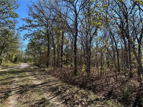 Off Kip Drive, Edwards, MO 65326 photo 4