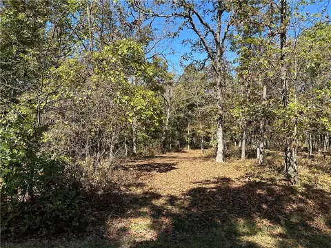 Off Kip Drive, Edwards, MO 65326 photo 5