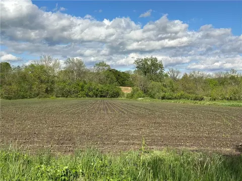 Tract 1 Albany Road, Orrick, MO 64077