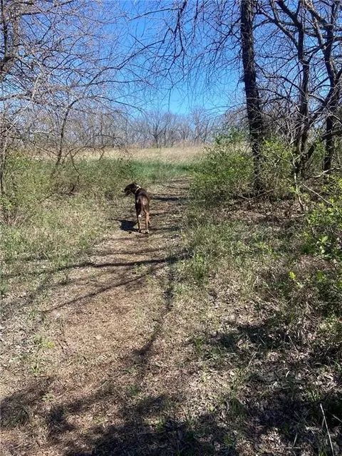 00000 Vacant - Phillips Rd, Perry, KS 66073 photo 4